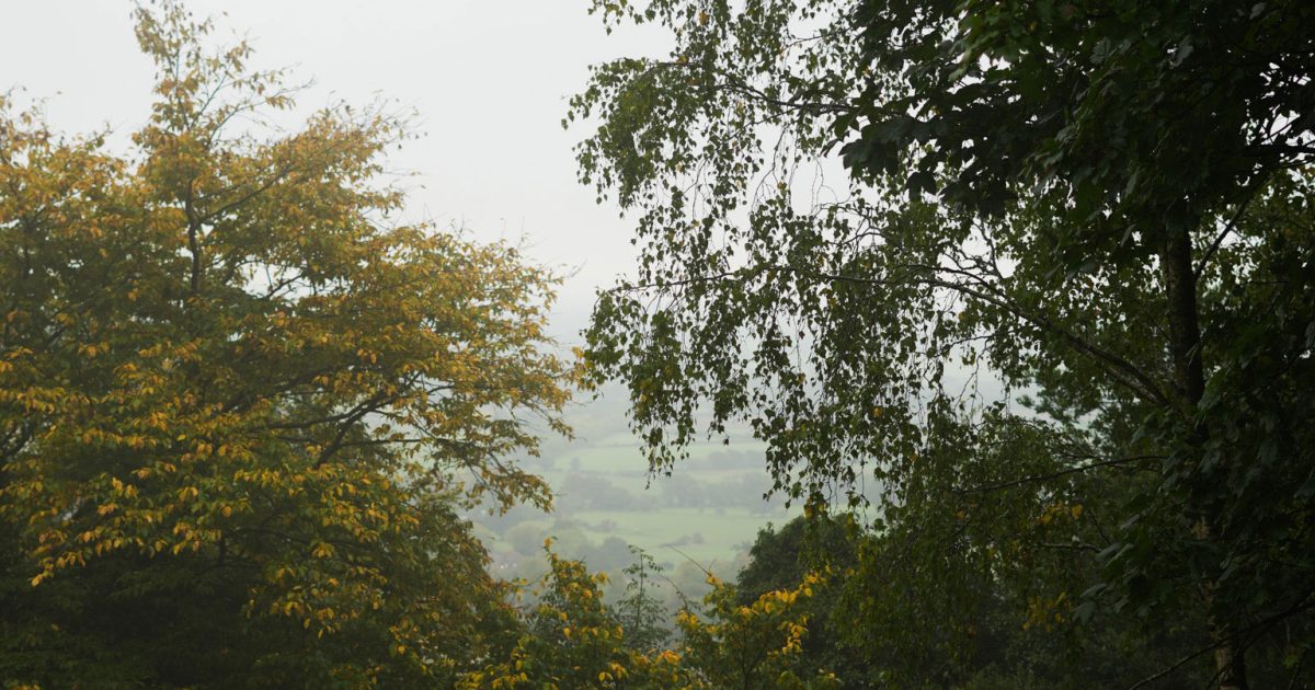 Trees-and-view-of-malvern